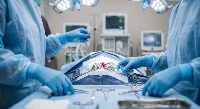 Equipo veterinario durante una cirugía oncológica reconstructiva